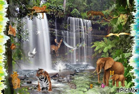 Animated Forest With Animals Gif