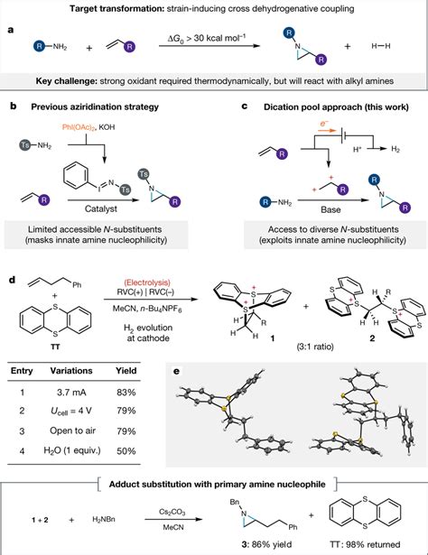 Development of an oxidative coupling strategy for aziridine... | Download Scientific Diagram