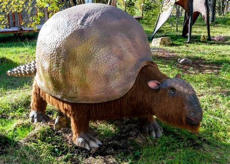 28 Giant Armadillo Facts (2 Types) Largest Living and Extinct | Storyteller Travel