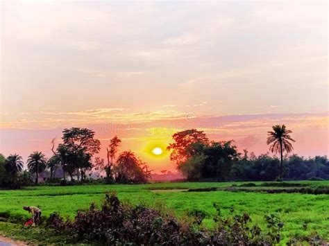 Sun set in indian village stock image. Image of sunset - 219169715