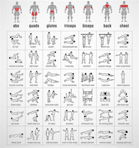 Pin by TXsun on Workout | Muscle groups to workout, Bodyweight workout ...