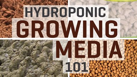 Hydroponics: Growing Media 101 - YouTube