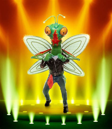 'The Masked Singer' Season 9: Who Is Mantis? Rumors Suggest This ...