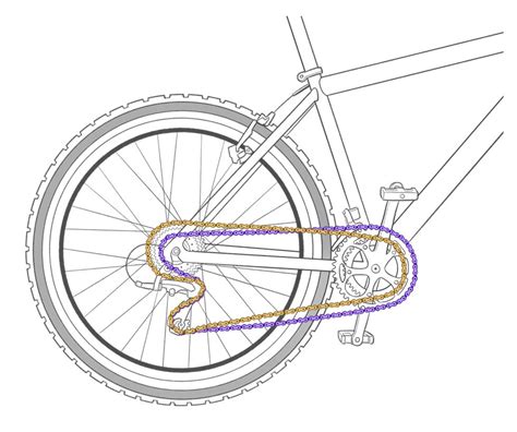 How Bike Gears Actually Work