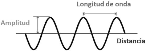 Significado de ondas longitudinales - Definición, definición, ejemplos, y características