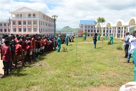 Malawi University Of Science and Technology - College & University ...