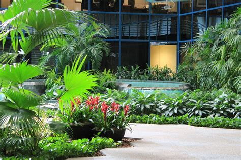 Indoor Plant Services | Budget, Design, & Installation