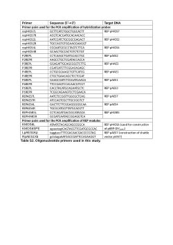 Plasmids of Carotenoid-Producing Paracoccus spp. (Alphaproteobacteria) - Structure, Diversity ...