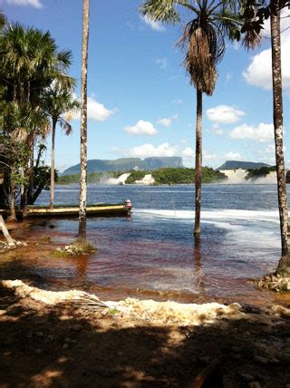 Tour al Salto Ángel - Canaima