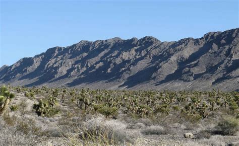 Free picture: mountains, desert, vegetation, foreground