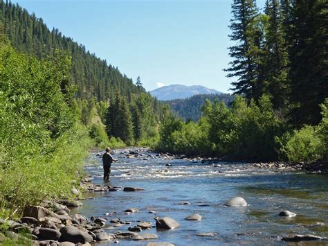 Piedra River – near Pagosa Springs-Arboles, CO | San Juan National Forest