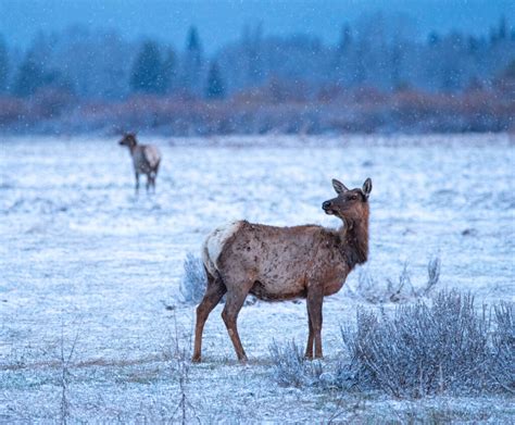 Grand Teton Workshops - Photo Masters Workshops