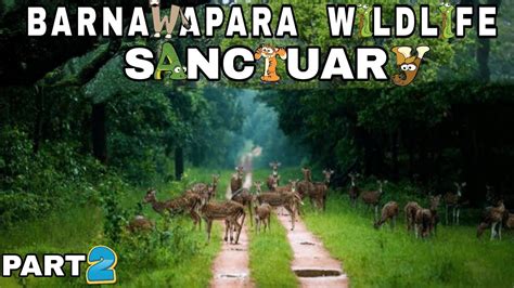 Explore_8|PART 2|Barnawapara Wildlife Sanctuary|बारनवापारा वन्यजीव ...