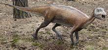 Atlascopcosaurus - Wikipedia