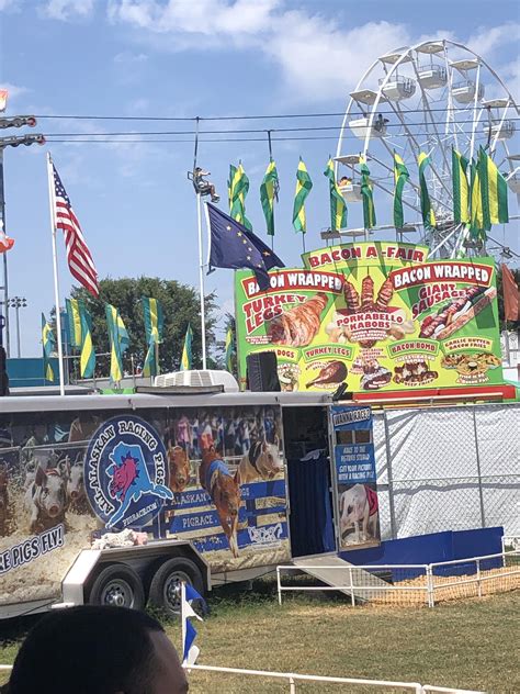 Went to the fair and they had pig racing. I think I figured out where ...