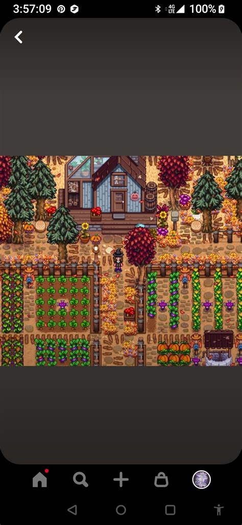 Stardew Valley Pathways | Stardew valley, Pathways, City photo