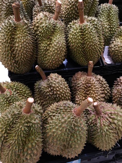 Durian Fruit Of Thailand Sell In Supermarkets Stock Image - Image of durian, gold: 149622363