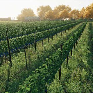 Farming Simulator 22: new crops Grape vines, Olives, Nutritious sorghum