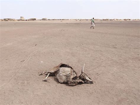 Ethiopia drought: Millions of people urgently in need of food aid after ...