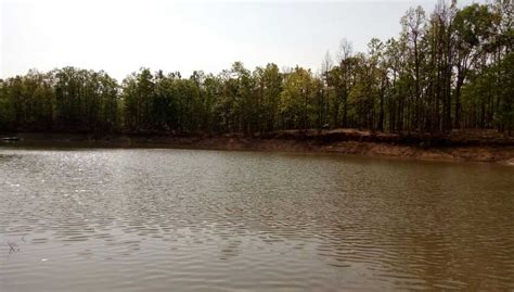 Hazaribagh national park, Hazaribagh Bihar