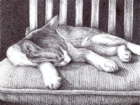 Sleeping Cat Drawing by Anne Thouthip | Realistic cat drawing, Cat ...