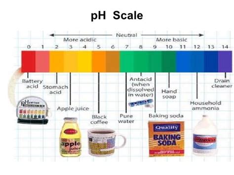 Bleach has a ph of 13 is it considered an acid or a base? - Opera ...