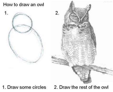 draw an owl Blank Template - Imgflip