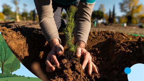 Salesforce Gives $11M to Restore Ecosystems and Advance Climate Justice - Salesforce News