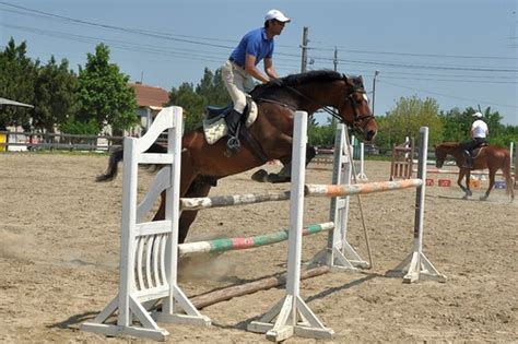 Horse jumping obstacles | nite dan | Flickr