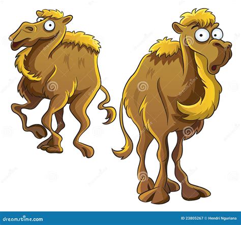 Funny Camel Royalty Free Stock Photography - Image: 23805267