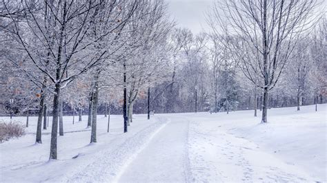 Canada Winter Clothing - How to Survive Winter in Canada