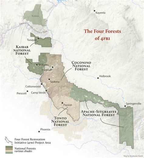 Arizona Forests - Four Forest Restoration Initiative | Grand Canyon Trust