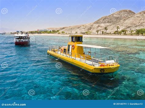 View on Coral Reef Near Eilat, Israel Stock Image - Image of eilat, water: 20140791