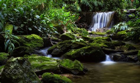 Cascades - A peaceful cascade at the Tijuca Forest (Floresta da Tijuca in Portuguese). Tijuca ...