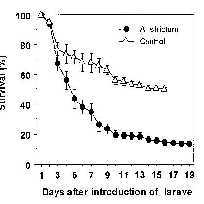 Establishment and survival of Helicoverpa armigera larvae reared on... | Download Scientific Diagram