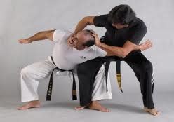 Learn Kung fu and chinese Martial Arts Training Techniques : Kung fu ...