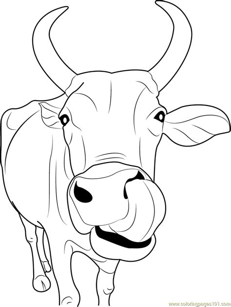 Cow Coloring Pages - 151 Cow printable pages and coloring sheets | Cow coloring pages, Cow ...