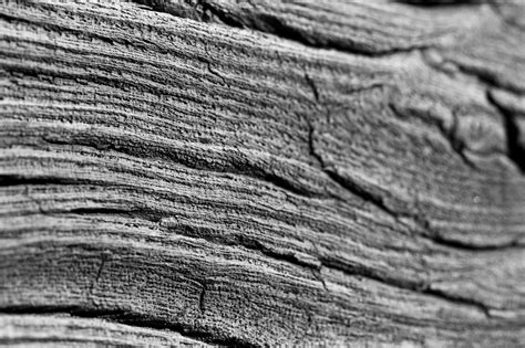 Wood Structure Free Stock Photo - Public Domain Pictures