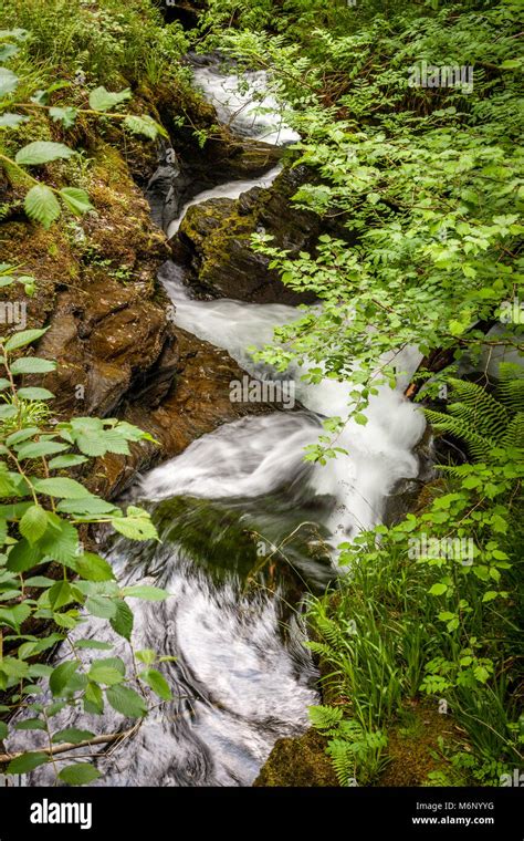 Lydford gorge waterfall hi-res stock photography and images - Alamy