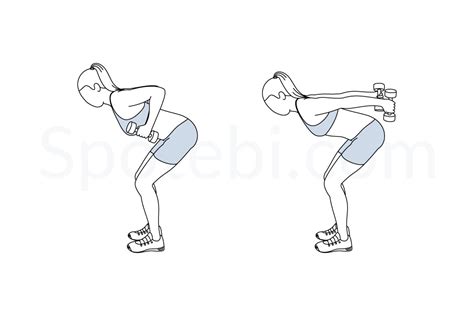 Dumbbell Triceps Kickback | Illustrated Exercise Guide