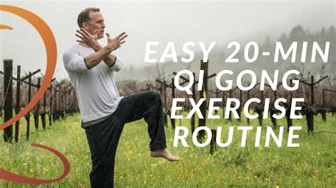 20-Min Qi Gong Exercise Routine - Easy Home Workout with Lee Holden ...