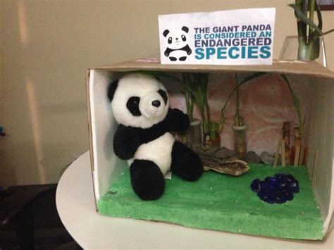 Giant panda diorama | Panda craft, Bear habitat, Endangered pandas