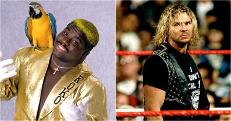 WWE: 5 Wrestlers Who Should Be In The Hall Of Fame (& 5 Who Never ...