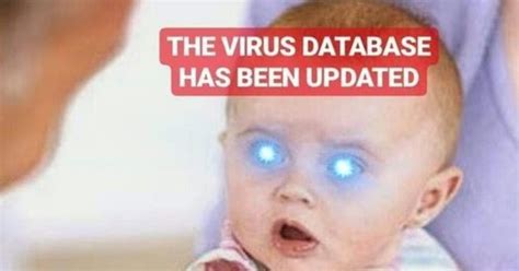 What are you doing, the virus database has been updated