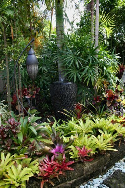 Tropical Plants Full Sun - Plants BY