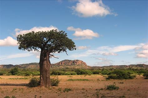 Vhembe Biosphere Reserve Landscapes | World heritage sites, Landscape, World heritage