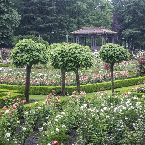 Peninsula Park Rose Garden - SkyBlue Portland