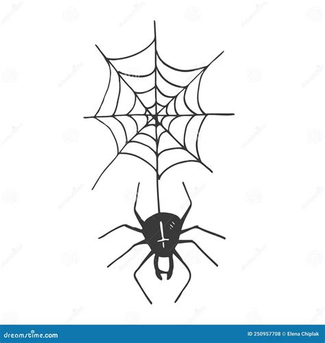 Hand Draw Sketch, Spider and Web. Halloween Concept. Vector Illustration Stock Vector ...