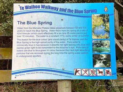 Blue Spring Putaruru: Enjoy Crystal Clear Water Along Te Waihou Walkway