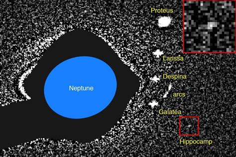 Neptune Has a Newly Discovered Moon. What Else Is It Hiding? - The New ...